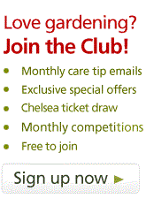 Join the Crocus Club