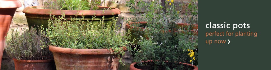 Pots and Containers