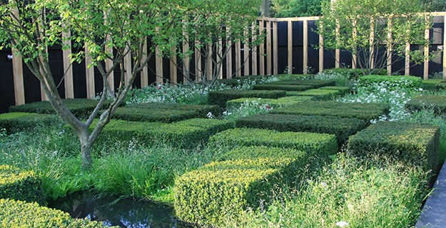 The Daily Telegraph Garden by Christopher Bradley-Hole
