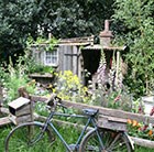 Cottage garden 