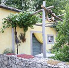 Mediterranean 