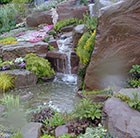 Water garden 