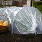 Giant easy polytunnel cloche